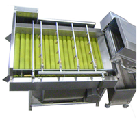 Вега BV 1500 машина для мойки овощей и фруктов (деликатная мойка) - <ro>Изображение</ro><ru>Изображение</ru> #1, <ru>Объявление</ru> #1696832