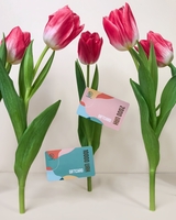 Подарочный сертификат в салон лазерной эпиляции в Киеве TK Laser - <ro>Изображение</ro><ru>Изображение</ru> #5, <ru>Объявление</ru> #1703829