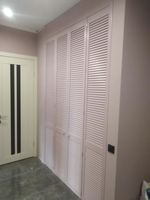 двери жалюзи в гардеробной - <ro>Изображение</ro><ru>Изображение</ru> #4, <ru>Объявление</ru> #1511167