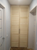 двери жалюзи в гардеробной - <ro>Изображение</ro><ru>Изображение</ru> #8, <ru>Объявление</ru> #1511167