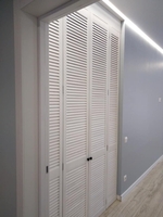 двери жалюзи в гардеробной - <ro>Изображение</ro><ru>Изображение</ru> #1, <ru>Объявление</ru> #1511167