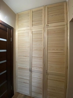Встроенный шкаф из жалюзийных дверей - <ro>Изображение</ro><ru>Изображение</ru> #1, <ru>Объявление</ru> #1610107