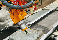 Станки для термообработки, бучардирования - <ro>Изображение</ro><ru>Изображение</ru> #6, <ru>Объявление</ru> #202916