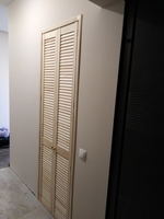двери жалюзи в гардеробной - <ro>Изображение</ro><ru>Изображение</ru> #5, <ru>Объявление</ru> #1511167