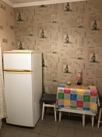 ОТ ХОЗЯИНА. Сдам светлую 1-но комнатную квартиру - <ro>Изображение</ro><ru>Изображение</ru> #5, <ru>Объявление</ru> #1706980