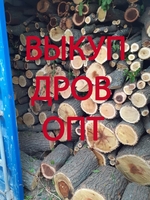 Закупаем дрова - <ro>Изображение</ro><ru>Изображение</ru> #1, <ru>Объявление</ru> #1707350