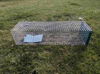 Котоловка. Живоловка. Поймать кота и кошку безопасно и надежно. Доставка - <ro>Изображение</ro><ru>Изображение</ru> #5, <ru>Объявление</ru> #1579454