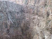 Продам сіно Лугове різнотравья в тюках - <ro>Изображение</ro><ru>Изображение</ru> #1, <ru>Объявление</ru> #1712995