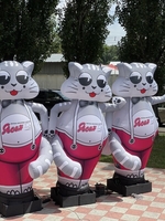 Зазывала надувной человечек реклама - <ro>Изображение</ro><ru>Изображение</ru> #1, <ru>Объявление</ru> #1712474