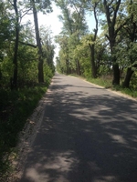 Продам участок 10 соток в Севериновке, 19 км от Киева - <ro>Изображение</ro><ru>Изображение</ru> #3, <ru>Объявление</ru> #1715288