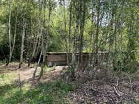 Продам участок 10 соток в Севериновке, 19 км от Киева - <ro>Изображение</ro><ru>Изображение</ru> #6, <ru>Объявление</ru> #1715288