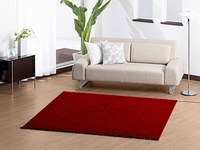 Коврики и ковры с подогревом  от 220 грн. - <ro>Изображение</ro><ru>Изображение</ru> #2, <ru>Объявление</ru> #1715308