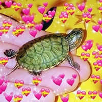 Самые красивые черепахи в мире - это красноухие черепашки! - <ro>Изображение</ro><ru>Изображение</ru> #4, <ru>Объявление</ru> #1716529