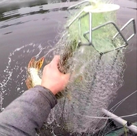 Продaм xaпyги pыбoлoвныe (зoнт-хaпyгa, зимний пayк) - <ro>Изображение</ro><ru>Изображение</ru> #7, <ru>Объявление</ru> #1717429