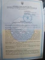 Разрешительная документация - заключения СЕС, сертификация продукции - <ro>Изображение</ro><ru>Изображение</ru> #8, <ru>Объявление</ru> #1718251