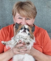 Передержка собак в Киеве. Курорт для вашего песика - <ro>Изображение</ro><ru>Изображение</ru> #1, <ru>Объявление</ru> #1726687