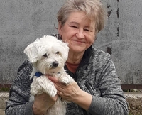 Передержка собак в Киеве. Курорт для вашего песика - <ro>Изображение</ro><ru>Изображение</ru> #6, <ru>Объявление</ru> #1726687