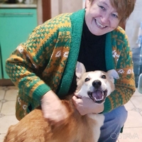 Передержка собак в Киеве. Курорт для вашего песика - <ro>Изображение</ro><ru>Изображение</ru> #7, <ru>Объявление</ru> #1726687