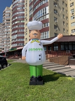 Рукомах зазывало повар - <ro>Изображение</ro><ru>Изображение</ru> #7, <ru>Объявление</ru> #1728624