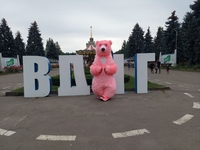 Поздравление Огромнного Розового Мишки 2.6 метра Киев и Киевская область. - <ro>Изображение</ro><ru>Изображение</ru> #6, <ru>Объявление</ru> #1729786