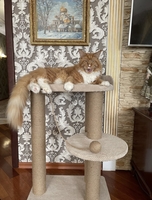 Будиночки для котиків. Царапкі, когтєточкі - <ro>Изображение</ro><ru>Изображение</ru> #1, <ru>Объявление</ru> #1732991