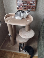 Будиночки для котиків. Царапкі, когтєточкі - <ro>Изображение</ro><ru>Изображение</ru> #4, <ru>Объявление</ru> #1732991