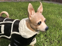 Памятные скульптуры домашних питомцев - <ro>Изображение</ro><ru>Изображение</ru> #2, <ru>Объявление</ru> #1732333