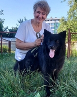 Готель собак Dogs Hotel Пес - передержка Киев - <ro>Изображение</ro><ru>Изображение</ru> #5, <ru>Объявление</ru> #1734133