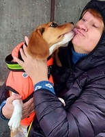 Готель собак Dogs Hotel Пес - передержка Киев - <ro>Изображение</ro><ru>Изображение</ru> #2, <ru>Объявление</ru> #1734133