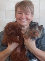 Готель собак Dogs Hotel Пес - передержка Киев - <ro>Изображение</ro><ru>Изображение</ru> #1, <ru>Объявление</ru> #1734133