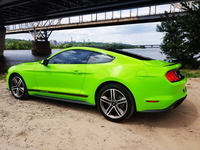 Ford Mustang GT салатовый 2018 аренда спортивных автомобилей  - <ro>Изображение</ro><ru>Изображение</ru> #5, <ru>Объявление</ru> #1735422