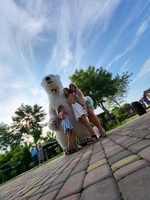 Білий Вітальний Ведмедик Київ та Київська область 800 грн + дорога.							 - <ro>Изображение</ro><ru>Изображение</ru> #9, <ru>Объявление</ru> #1739082