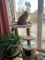 Нерухомість для ваших котиків - <ro>Изображение</ro><ru>Изображение</ru> #3, <ru>Объявление</ru> #1739809