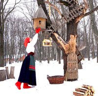 купити валянки жіночі в україні, купити валянки з калошами - <ro>Изображение</ro><ru>Изображение</ru> #3, <ru>Объявление</ru> #1741171