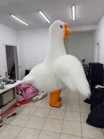Надувной костюм Гусь обнимусь - <ro>Изображение</ro><ru>Изображение</ru> #3, <ru>Объявление</ru> #1743422