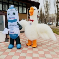 Одежда для аниматоров - <ro>Изображение</ro><ru>Изображение</ru> #1, <ru>Объявление</ru> #1744426