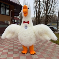 Одежда для аниматоров - <ro>Изображение</ro><ru>Изображение</ru> #3, <ru>Объявление</ru> #1744426