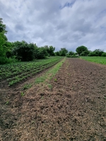 Продаю дом с хоз.пристройками и землю в Гатном, рядом метро. - <ro>Изображение</ro><ru>Изображение</ru> #1, <ru>Объявление</ru> #1744830