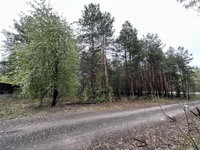 Продаж ділянки 10 сот. Київ у лісі. - <ro>Изображение</ro><ru>Изображение</ru> #6, <ru>Объявление</ru> #1749010