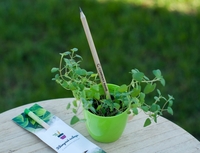 Корпоративні подарунки для IT компаній. - <ro>Изображение</ro><ru>Изображение</ru> #2, <ru>Объявление</ru> #1749448