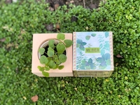 Корпоративні подарунки для IT компаній. - <ro>Изображение</ro><ru>Изображение</ru> #4, <ru>Объявление</ru> #1749448