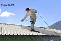 Фарбування дахів: якість, що захищає на роки! - <ro>Изображение</ro><ru>Изображение</ru> #5, <ru>Объявление</ru> #1750550