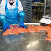 Шоковая заморозка,низькотемпературні камери для переробки риби - <ro>Изображение</ro><ru>Изображение</ru> #1, <ru>Объявление</ru> #1751521