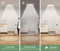 Розумний LED світильник з пультом, датчиком руху, акум 8000мА·год - <ro>Изображение</ro><ru>Изображение</ru> #8, <ru>Объявление</ru> #1752026