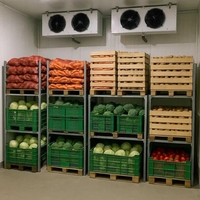 Універсальна холодильна камера для продуктів -10С+10С, мopoзилка - <ro>Изображение</ro><ru>Изображение</ru> #2, <ru>Объявление</ru> #1752840