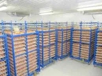 Холодильна камера Тривалого збepігання яєць (встановлення під ключ) - <ro>Изображение</ro><ru>Изображение</ru> #3, <ru>Объявление</ru> #1752674