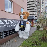 Шукаєте незабутній сюрприз? Агенція "СуперСвято" пропонує експрес-привітання від - <ro>Изображение</ro><ru>Изображение</ru> #7, <ru>Объявление</ru> #1754004
