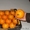 Апельсины, мандарины, лимон, хурма оптом в Испании - <ro>Изображение</ro><ru>Изображение</ru> #6, <ru>Объявление</ru> #1485096