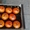 Апельсины, мандарины, лимон, хурма оптом в Испании - <ro>Изображение</ro><ru>Изображение</ru> #10, <ru>Объявление</ru> #1485096