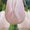 Реализовываем тюльпаны(срезанные) и гиацинты к 8 марта - <ro>Изображение</ro><ru>Изображение</ru> #1, <ru>Объявление</ru> #5755